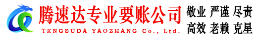 武汉腾速达清债公司